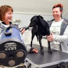 Två kvinnor ler medan de torkar en svart hund med en blå hundtork. En av dem håller i torken, den andra håller hunden. Detta kan vara en del av en hunddagis utbildning csn.