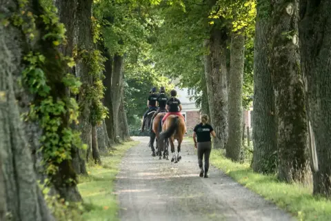 Ryttare från Segra gymnasiet rider längs en allé av träd.