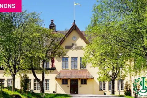 Gult hus med flagga på taket, omgivet av gröna träd. En annons för internat i Sverige.