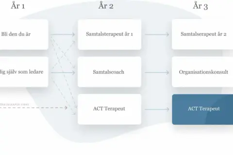 Flödesschema som visar vägar till att bli ACT Terapeut genom kbt utbildning distans. Utbildningen sträcker sig över tre år med olika inriktningar.