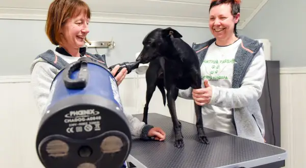 Två kvinnor ler medan de torkar en svart hund med en blå hundtork. En av dem håller i torken, den andra håller hunden. Detta kan vara en del av en hunddagis utbildning csn.
