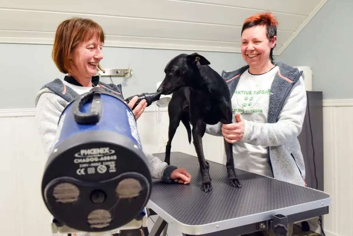 Två kvinnor ler medan de torkar en svart hund med en blå hundtork. En av dem håller i torken, den andra håller hunden. Detta kan vara en del av en hunddagis utbildning csn.