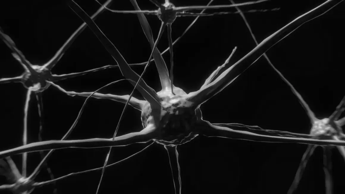 Närbild på nervceller, en visuell representation för neurovetenskap utbildning.