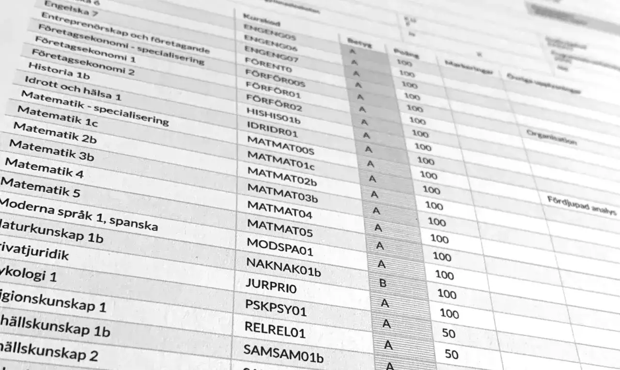 En tabell med kursnamn, betyg och poäng. Här syns bland annat