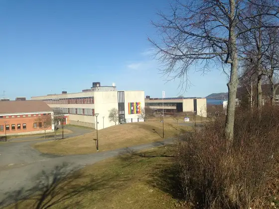 Sandagymnasiet Huskvarna: Studier & idrott – din guide till valet