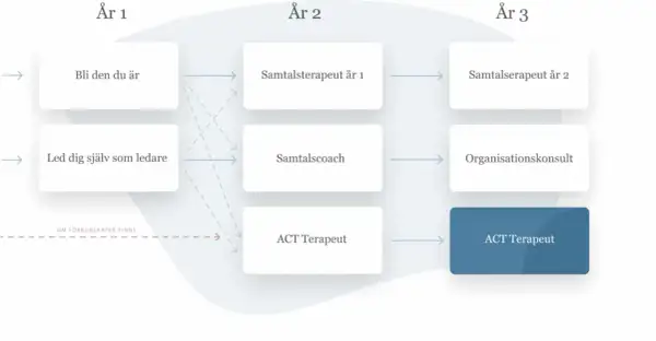 Flödesschema som visar vägar till att bli ACT Terapeut genom kbt utbildning distans. Utbildningen sträcker sig över tre år med olika inriktningar.